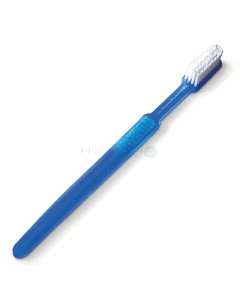 Brosses à dents jetable + dentifrice (100pc)