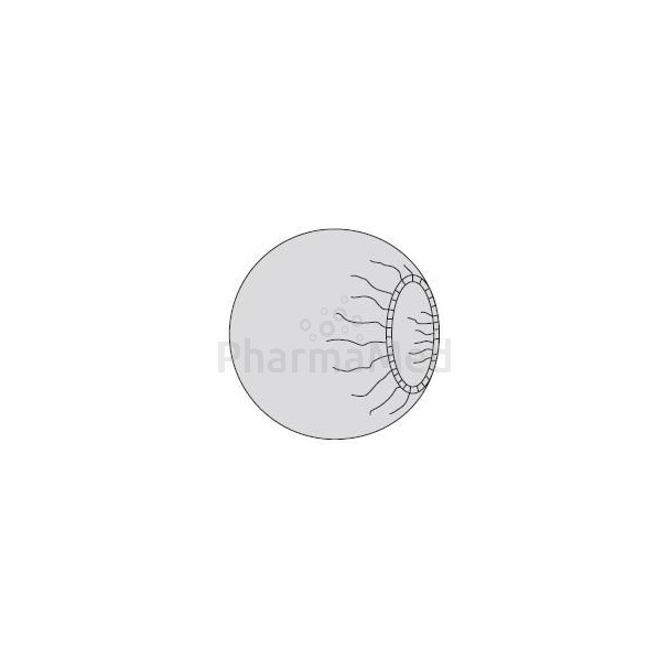 Charlotte pour ampli ronde 75cm - 2x18pcs